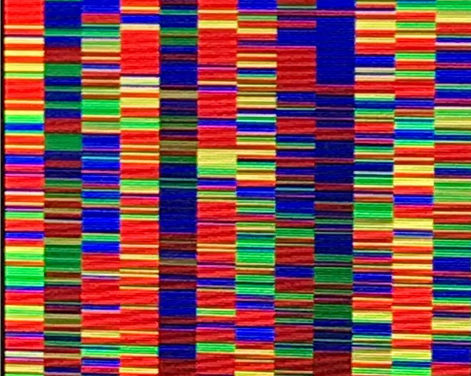 Farbiges Abbild der DNA-Sequenzen