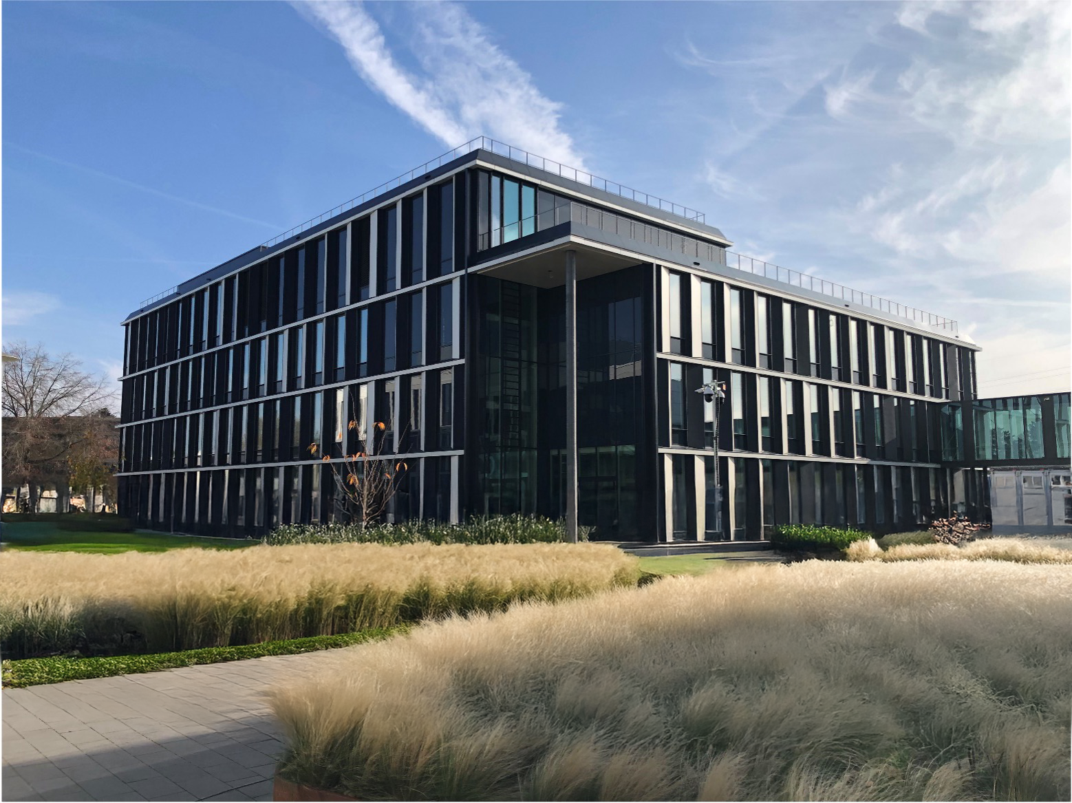 The Collaborative Research Center benefits from the excellent infrastructure at HHU on the UKD campus – particularly from its close proximity to the CARDDIAB research building, which is currently under construction (Photo: architectural rendering by the architectural firm). Image rights: UKD.