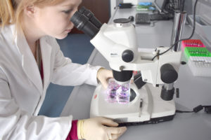 Wissenschaftlerin des DDZ am Mikroskop