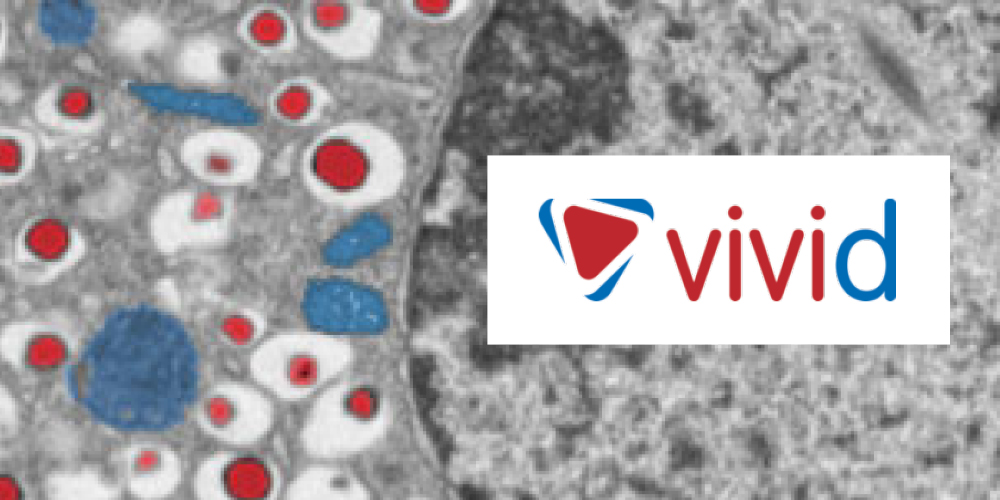 DFG-funded Research Training Group “vivid”