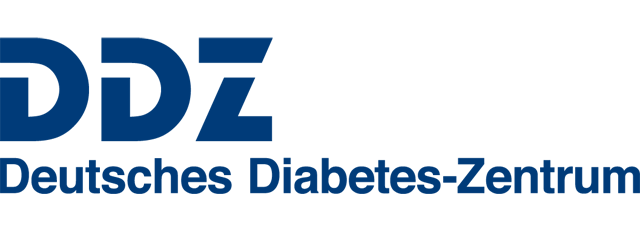 DDZ Logo